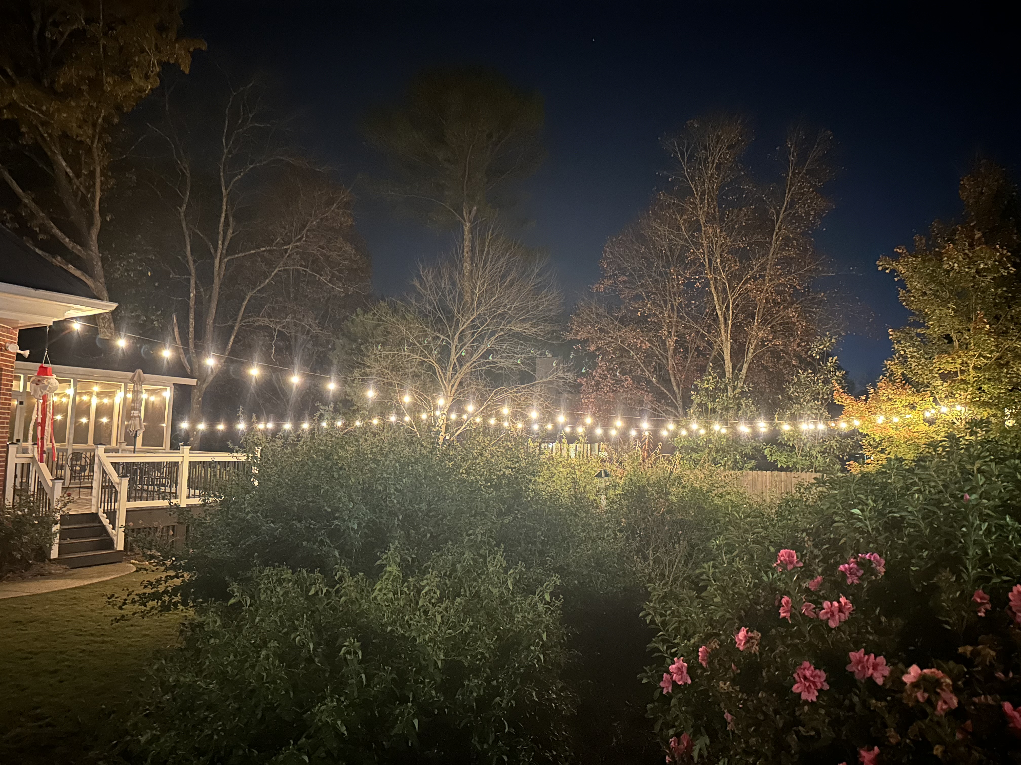 Estate home with warm amber Christmas lighting