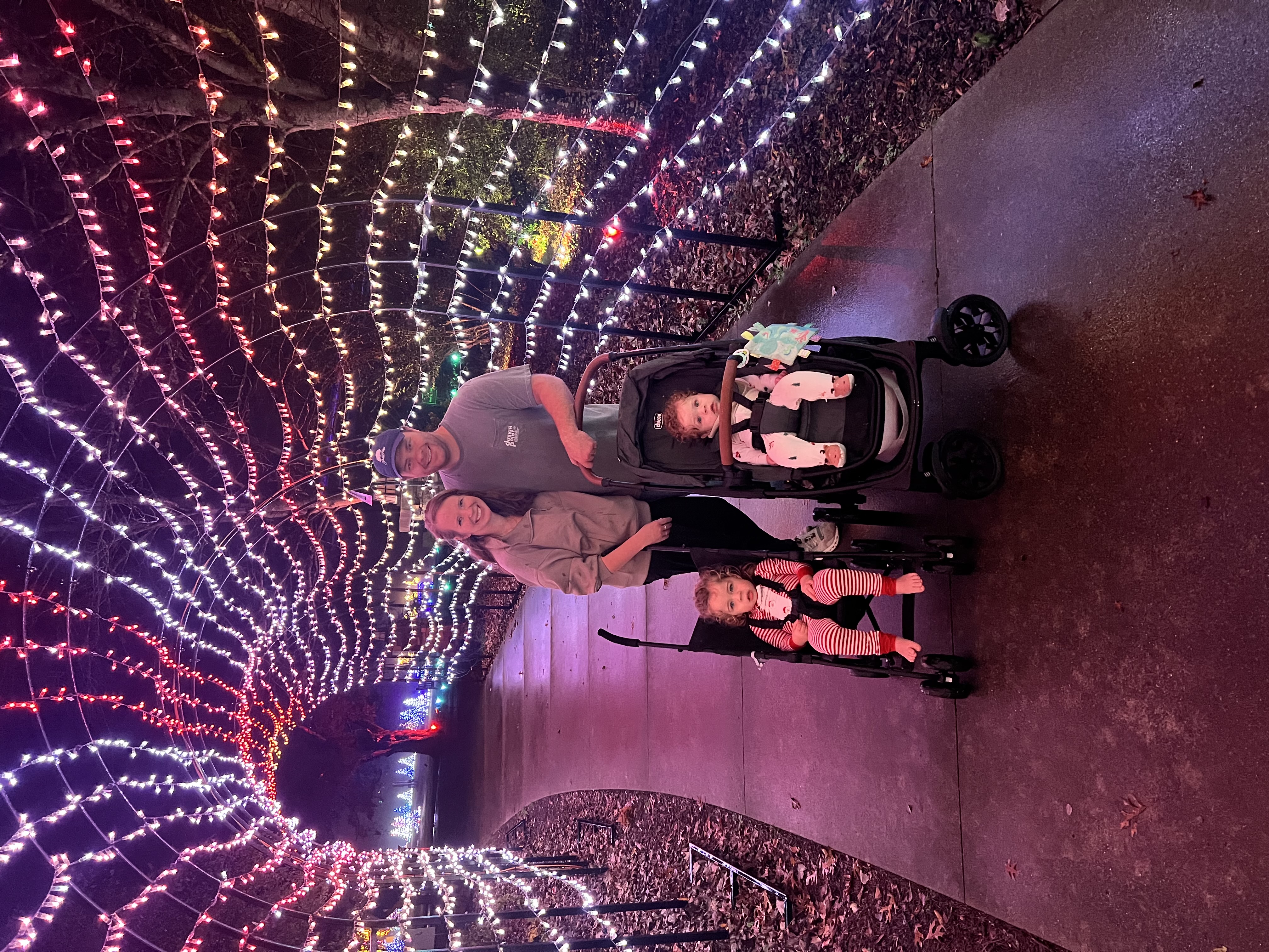 HOA Christmas lights
