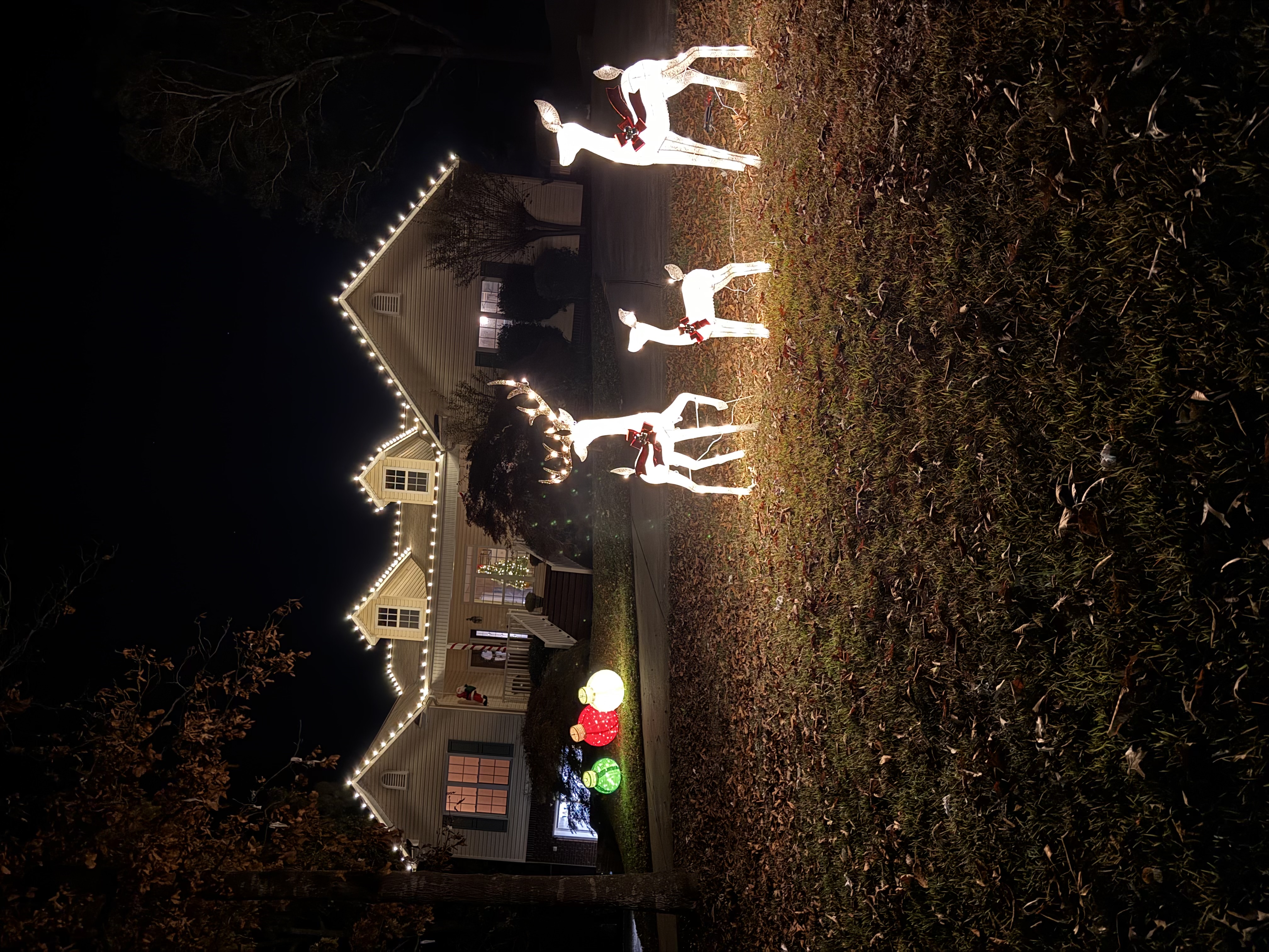 Residential Christmas lights with reindeer display